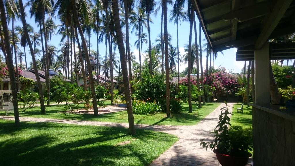 Catsen Bungalows & Rooms Mui Ne Exterior photo