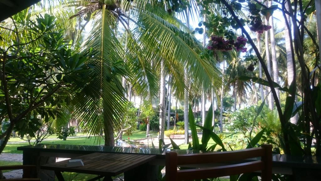 Catsen Bungalows & Rooms Mui Ne Exterior photo